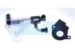 Pompe à Huile Pour Tronçonneuse Oleo Mac (094600339)