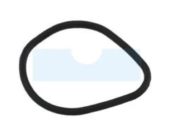 Joint De Jauge D'huile Pour Tecumseh (29610037)