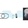 Piston Pour Tronçonneuse Partner (501894103)