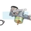 Carburateur Pour Moteur Briggs & Stratton (491590)