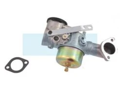Carburateur Pour Moteur Briggs & Stratton (491590)