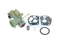 Carburateur Pour Moteur Briggs & Stratton (795477)