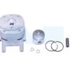 Kit Cylindre Piston Pour Débroussailleuse Shindaiwa (7019612110)