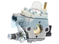 Carburateur Pour Solo (SL331650)