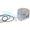 Piston Pour Moteur Honda (13101ZF6W00)