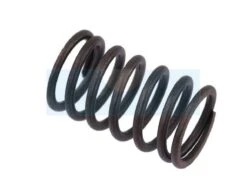Ressort De Soupape Pour Briggs & Stratton (692180)