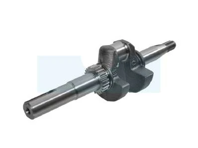 Vilebrequin Pour Moteur Briggs & Stratton (797017) 1 Vilebrequin Pour Moteur Briggs & Stratton (797017)