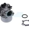 Carburateur Pour Moteur Briggs & Stratton (799464)