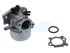 Carburateur Pour Moteur Briggs & Stratton (799464)