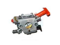 Carburateur Pour Echo (A021001400)