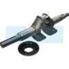Vilebrequin Pour Moteur Honda (06131Z8AW00)