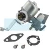 Carburateur Pour Moteur Briggs & Stratton (796447)