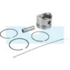 Piston Pour Moteur Briggs & Stratton (825795)