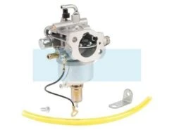 Carburateur Pour Moteur Kawasaki (999966055)